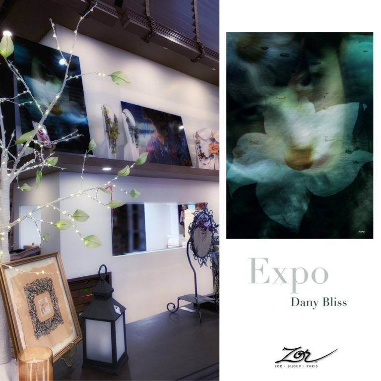 Exposition Digital Painting de Dany Bliss Photographe. Evènement, artiste chez Zor bijou, concept store Paris 2. Création & Artisanat